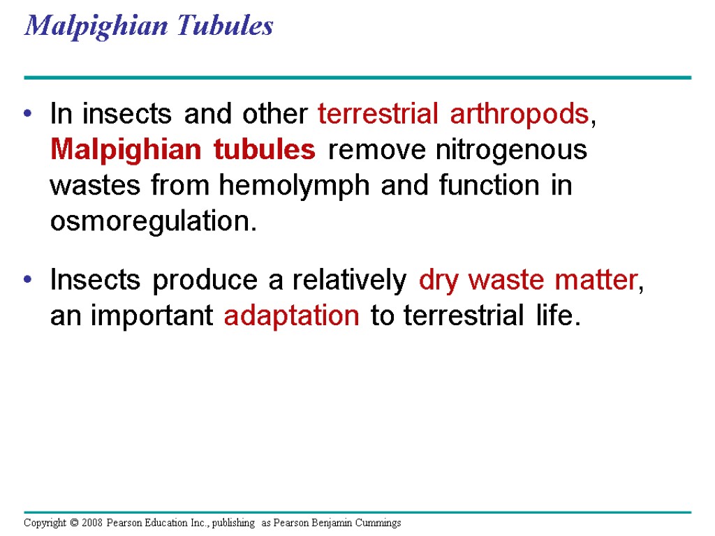 Malpighian Tubules In insects and other terrestrial arthropods, Malpighian tubules remove nitrogenous wastes from